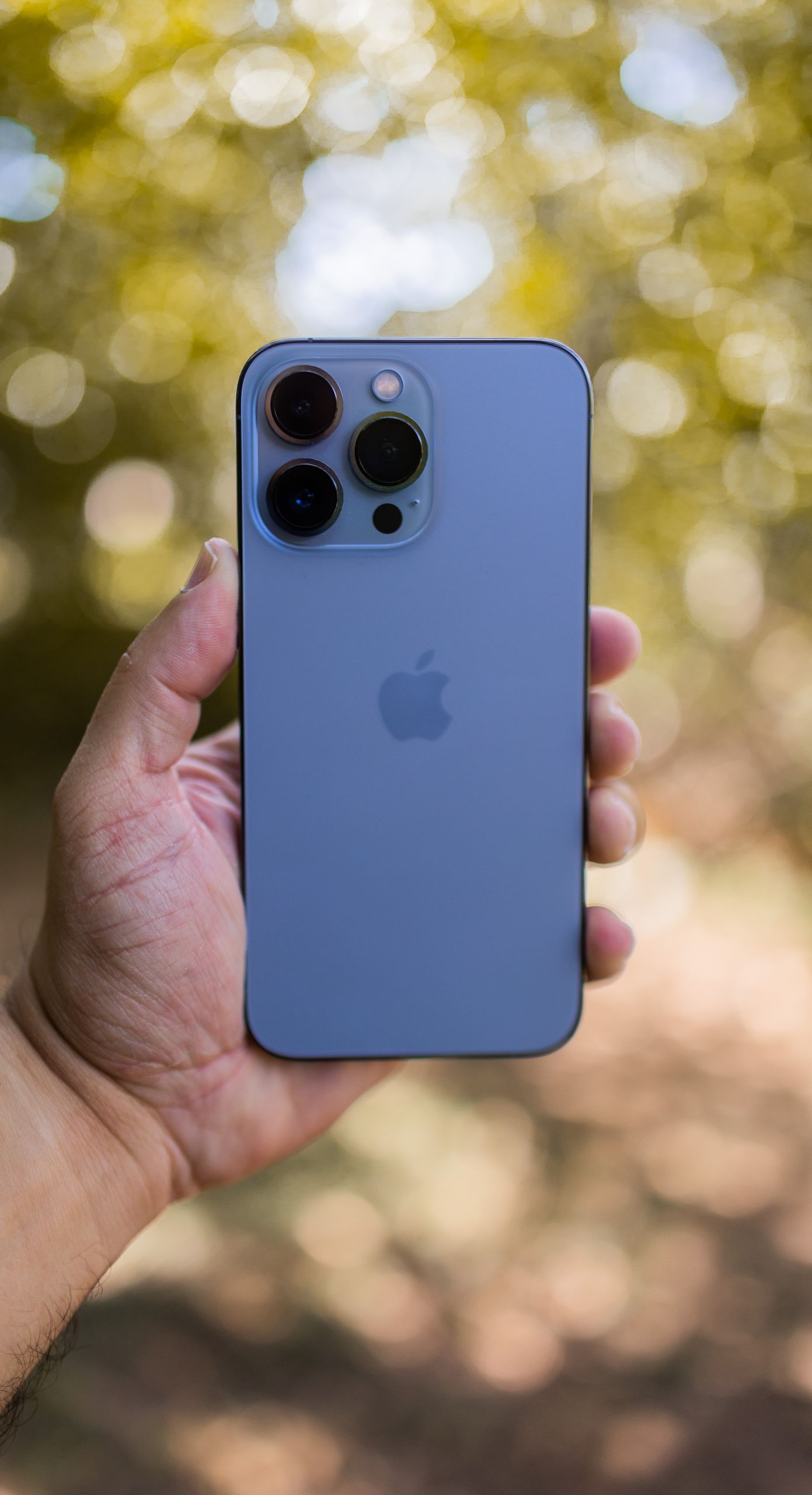 Close-up of a hand holding a smartphone with a blurred nature background, emphasizing technology in outdoor settings.