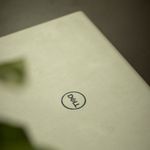 Close-up shot of a silver laptop with the Dell logo. Blurred green leaves add aesthetic depth.