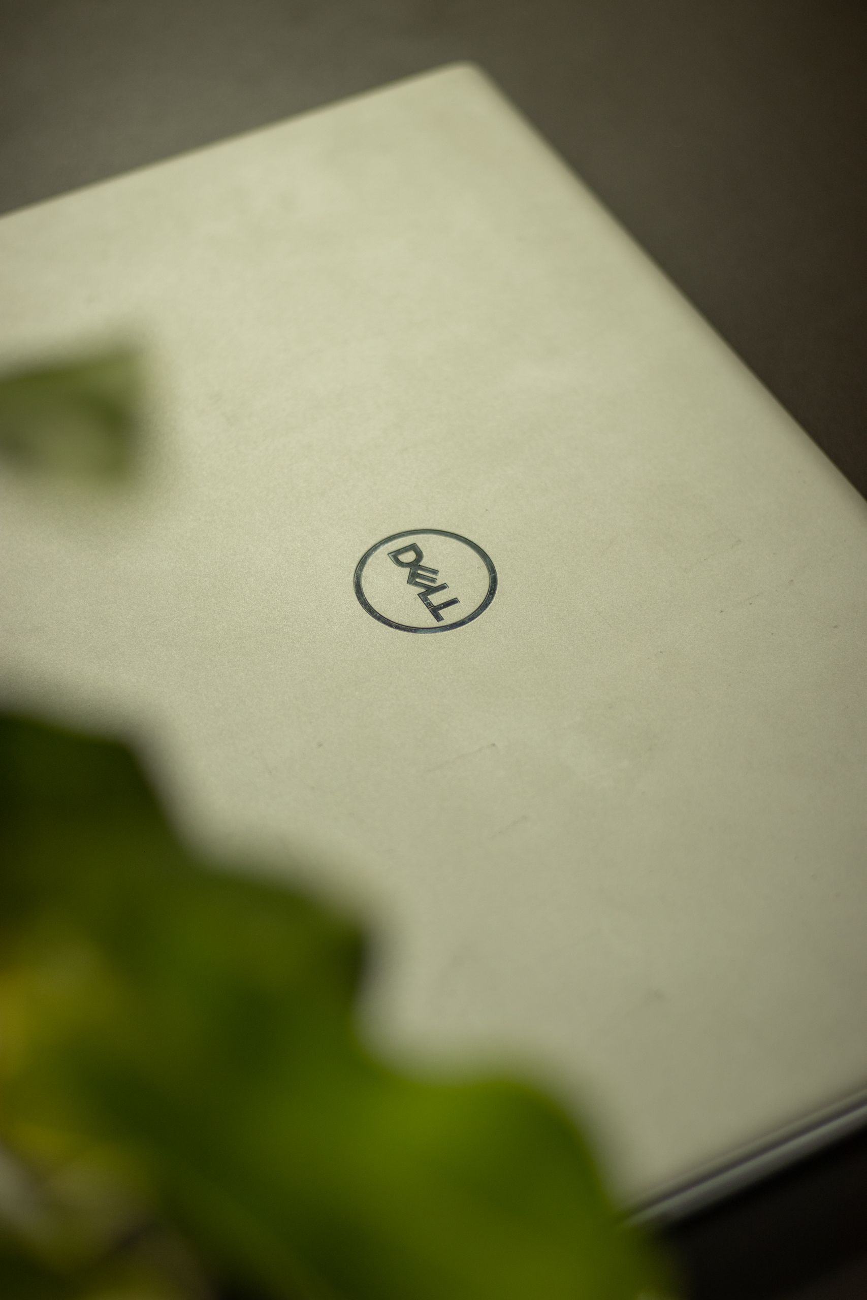Close-up shot of a silver laptop with the Dell logo. Blurred green leaves add aesthetic depth.